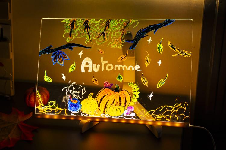 LYONZA Tableau à dessin lumineux